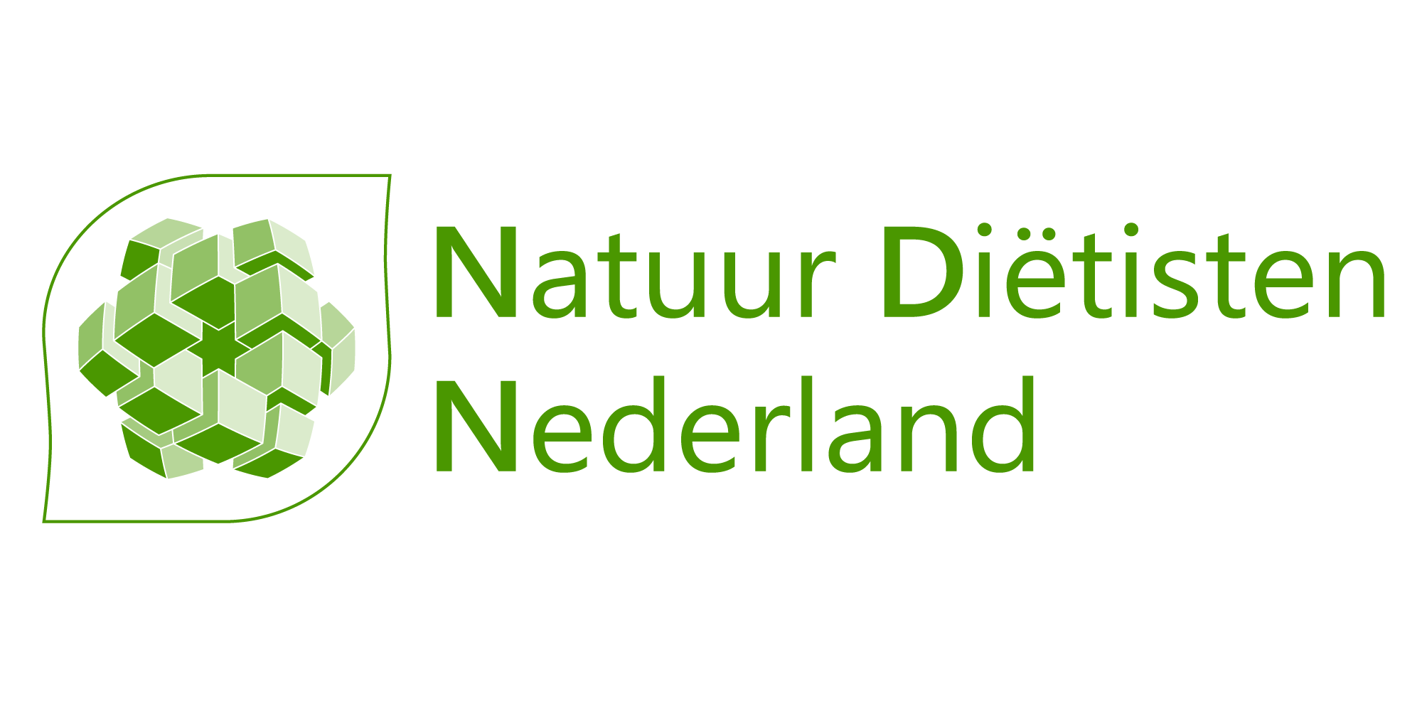 logo NDN